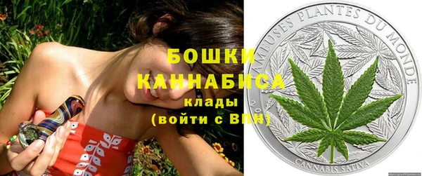 прущий лед Абаза