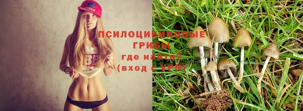 прущий лед Абаза