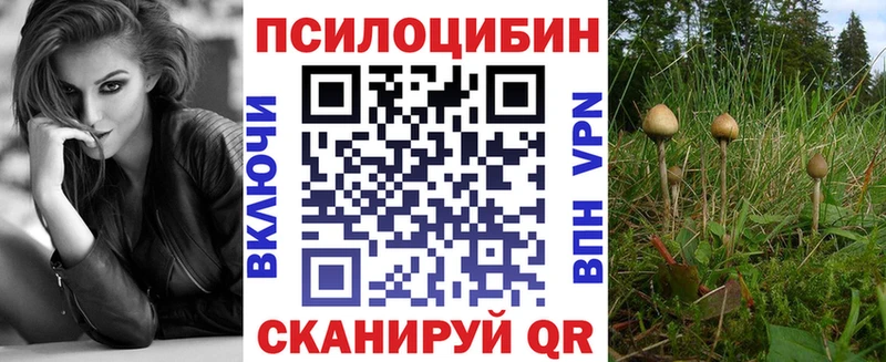 Галлюциногенные грибы Psilocybe закладки Новоуральск